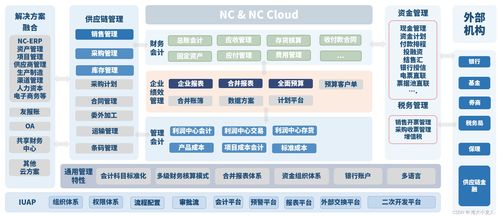 企业级bi应用与实践2 用友erp 以nc系列产品为例